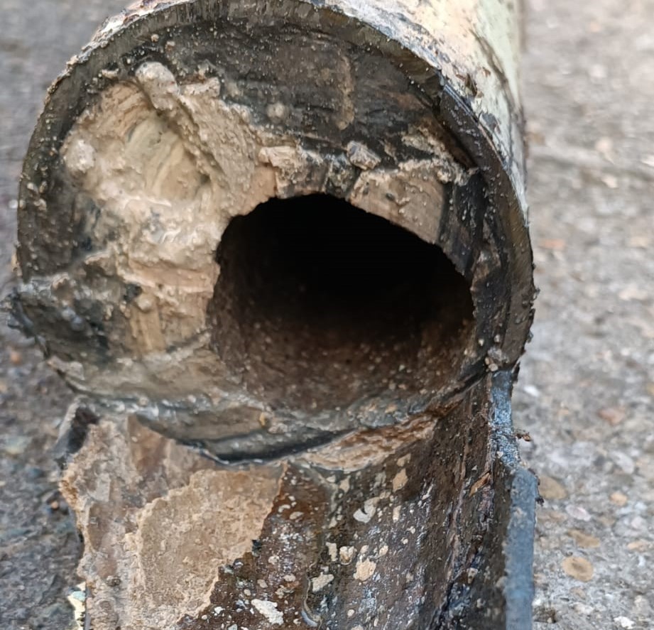 Tuyau d'évacuation bouché avec accumulation de déchets et graisse